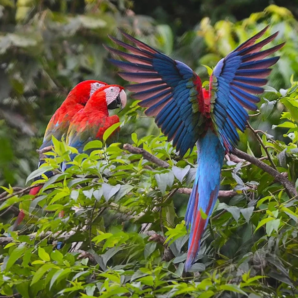 Lima, Machu Picchu and Sacred Lake Titicaca